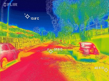 Projecte d’arbrat viari per reduir l’efecte illa de calor - imatge 6